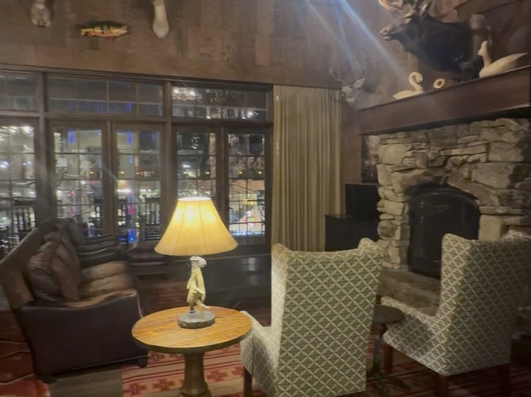 大柏树小屋主图