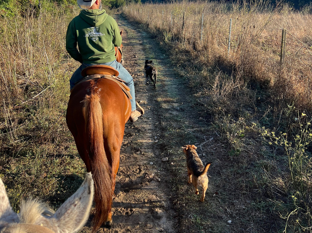 Centro Equestre La Prugnola-Arzachena必去景点