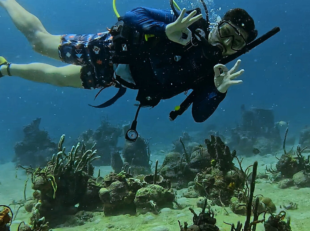 Aquarius Diving Club-Rincon del Mar必去景点