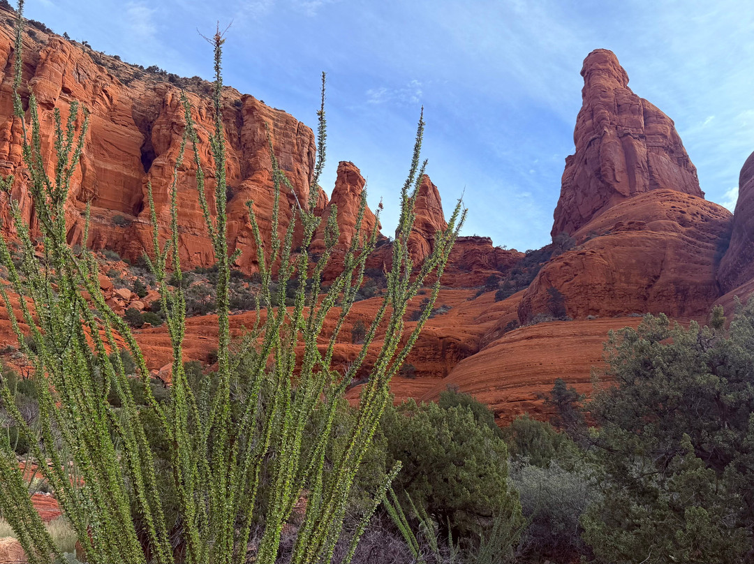 Vortex Yoga Hiking In Sedona-塞多纳必去景点