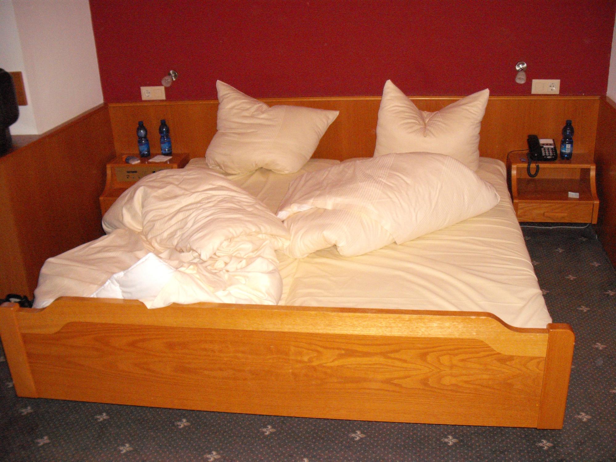 Hotel Traube-客卧