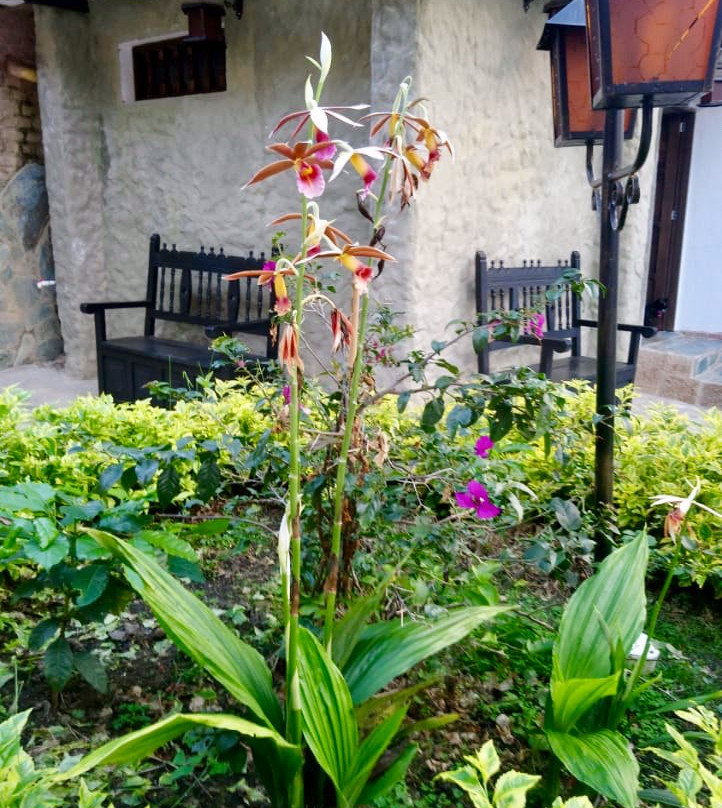 Hotel Casona del Virrey