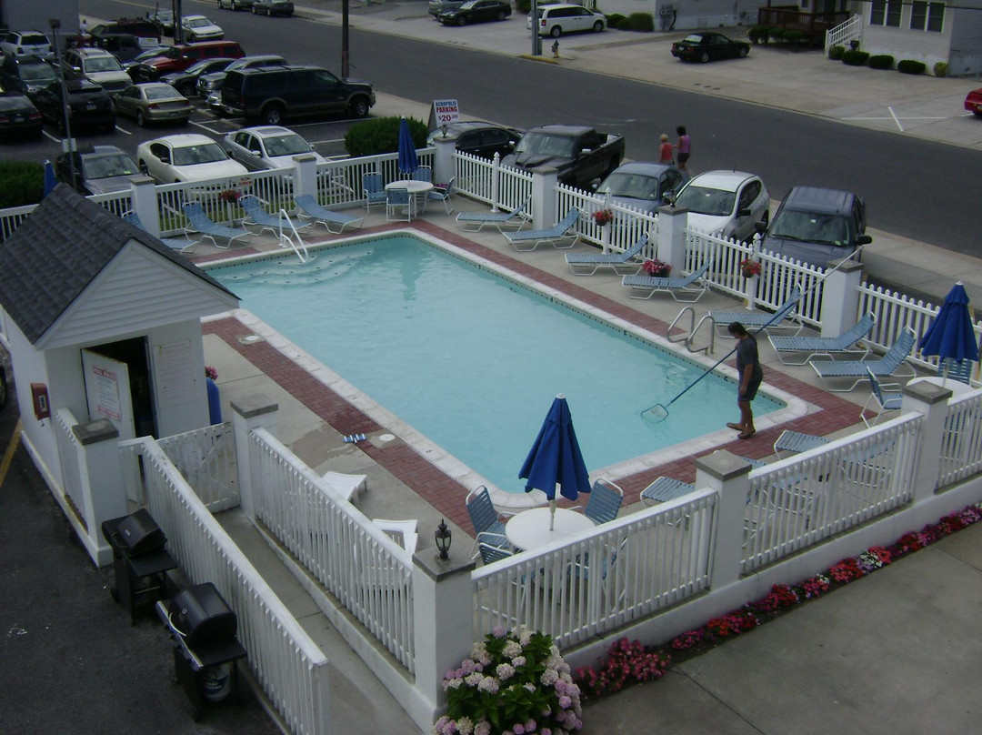 A Shore View