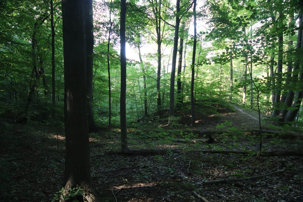 John Nemy Nature Trail-方特希尔必去景点