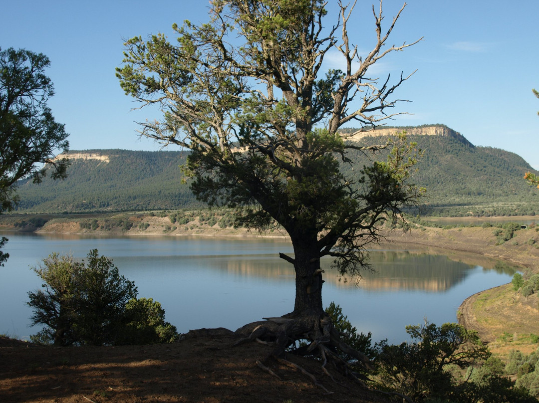 El Vado Lake State Park景点图片