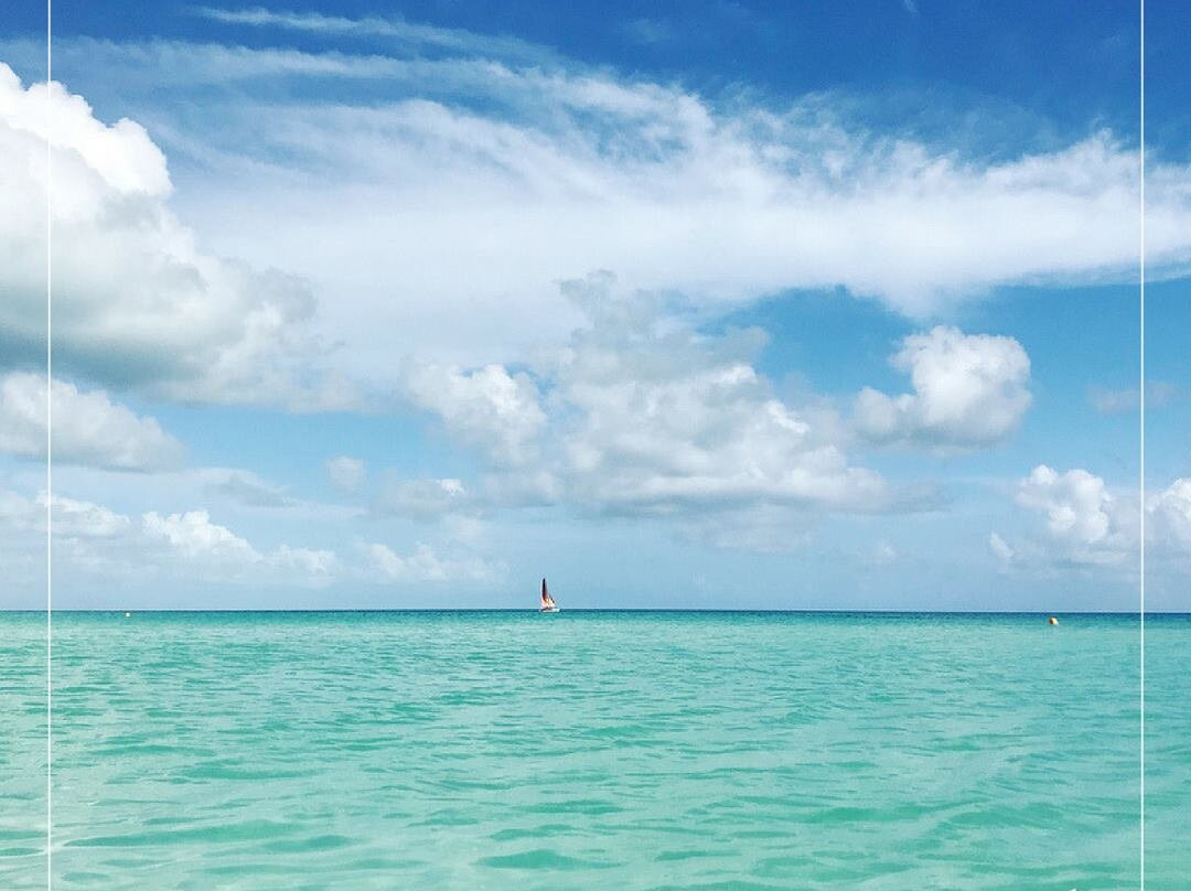 Cayo Coco旅游攻略图片