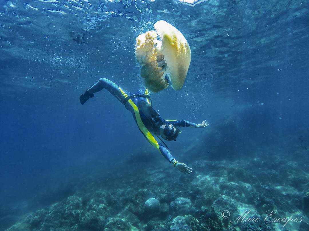 Deep People Freediving School景点图片