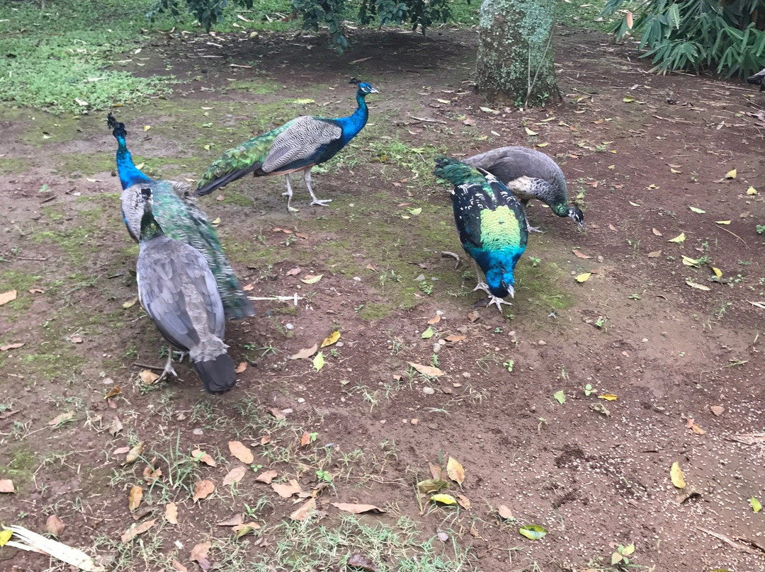 Rio Segundo旅游景点-Sr. y Sra Ese Souvenir Store