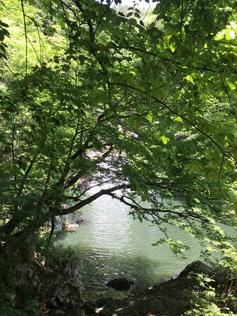 Mitsudaki Falls景点图片