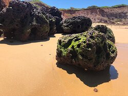 Long Reef Point-Collaroy Beach必去景点