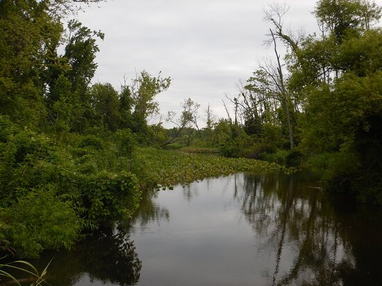 Occoquan Bay National Wildlife Refuge景点图片