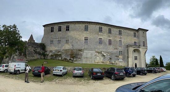 Chateau de Lavardens景点图片