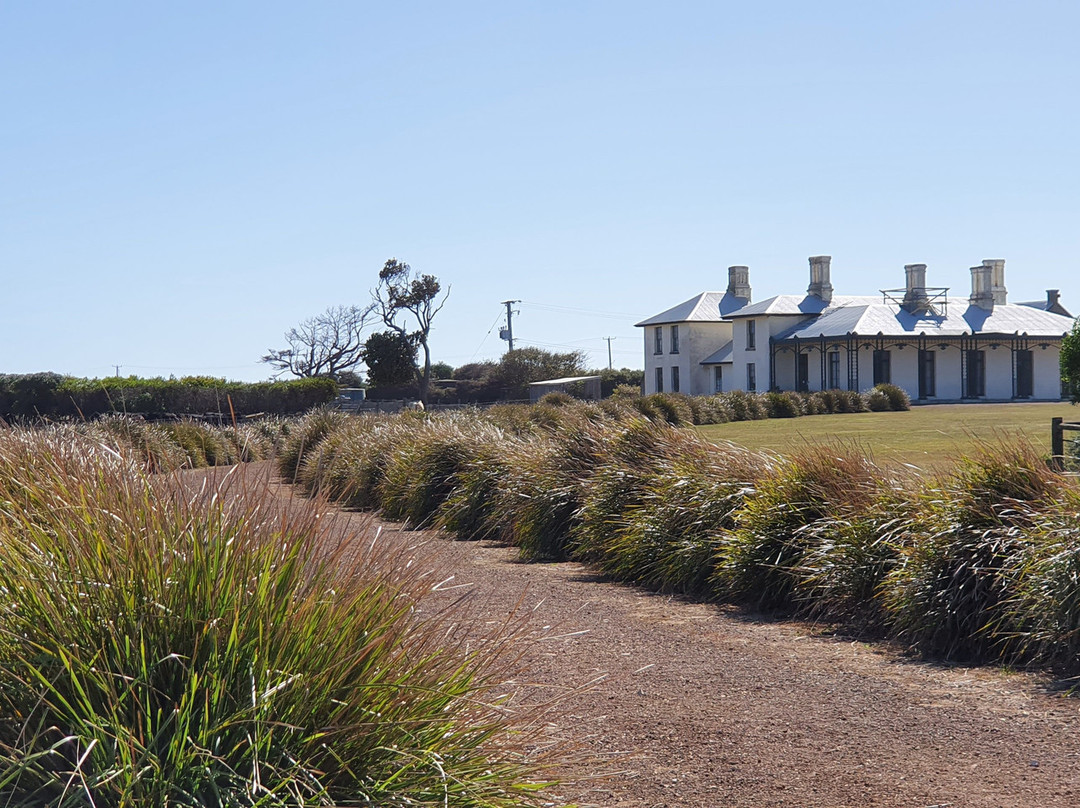 Highfield Lookout-斯坦利必去景点