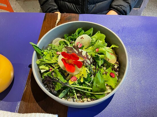 Mamallacta Paramo Lodge主图