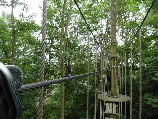 Go Ape Chessington-Chessington必去景点