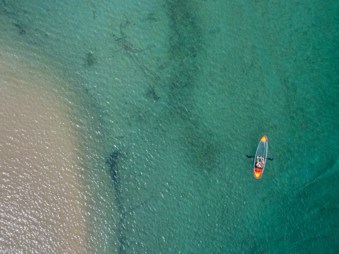 Clear Water Kayaks景点图片