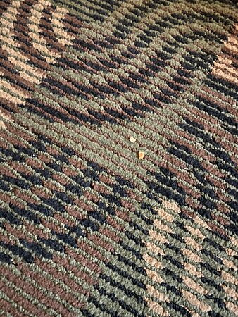 Best Western Plus Country Park Hotel主图