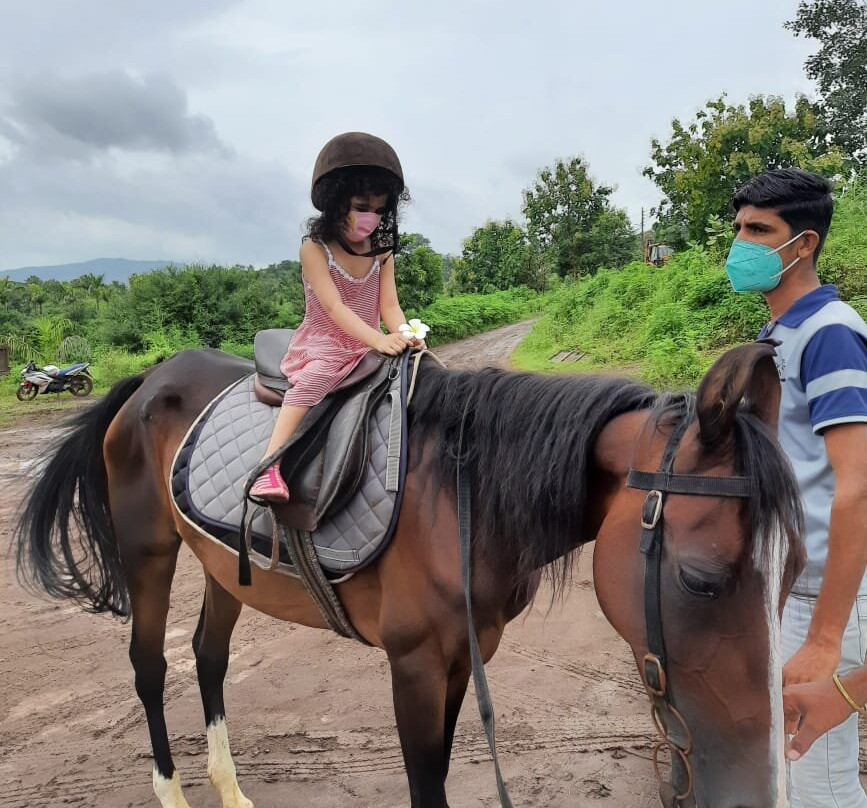 Grape County Eco Resort & Spa主图