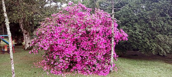 Grande Hotel Canela主图