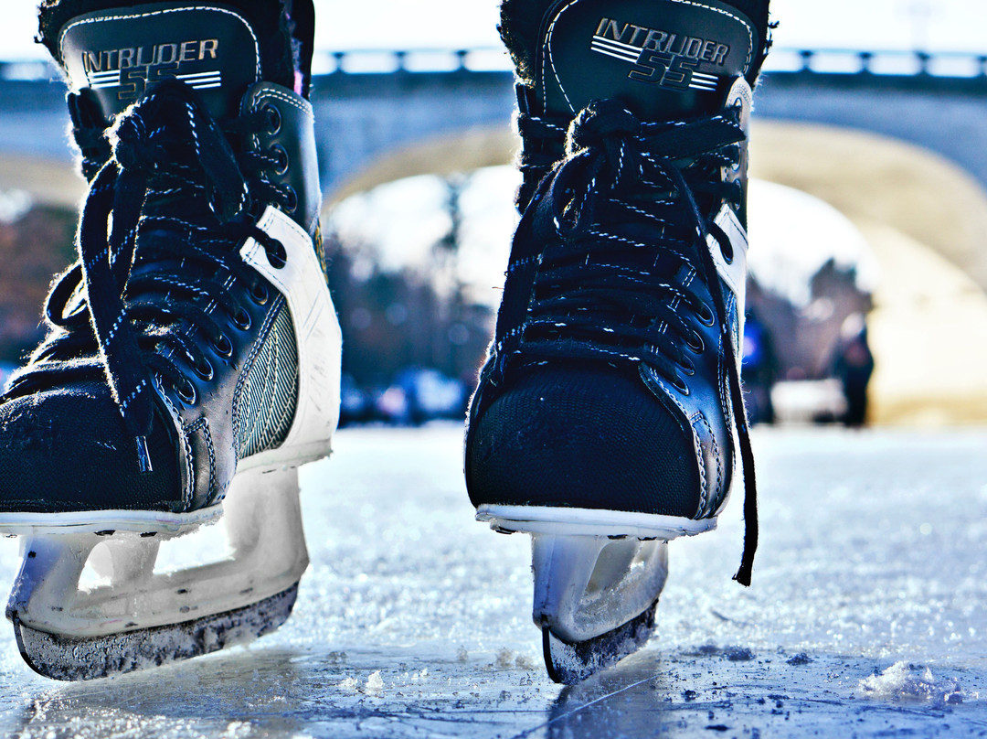 Holiday Inn St. Louis - Creve Coeur By IHG主图