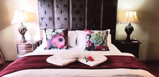 Lamon Guesthouse主图