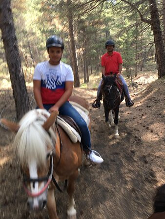 Etna Horse Paradise-Belpasso必去景点