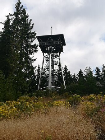 Riesenbühlturm in Schluchsee景点图片
