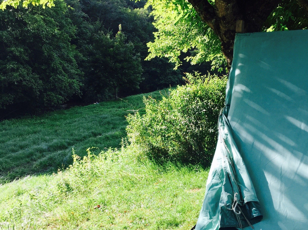 Camping La Chattonière