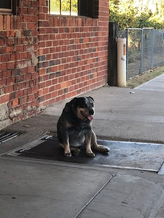 Star Hotel Barnawartha主图