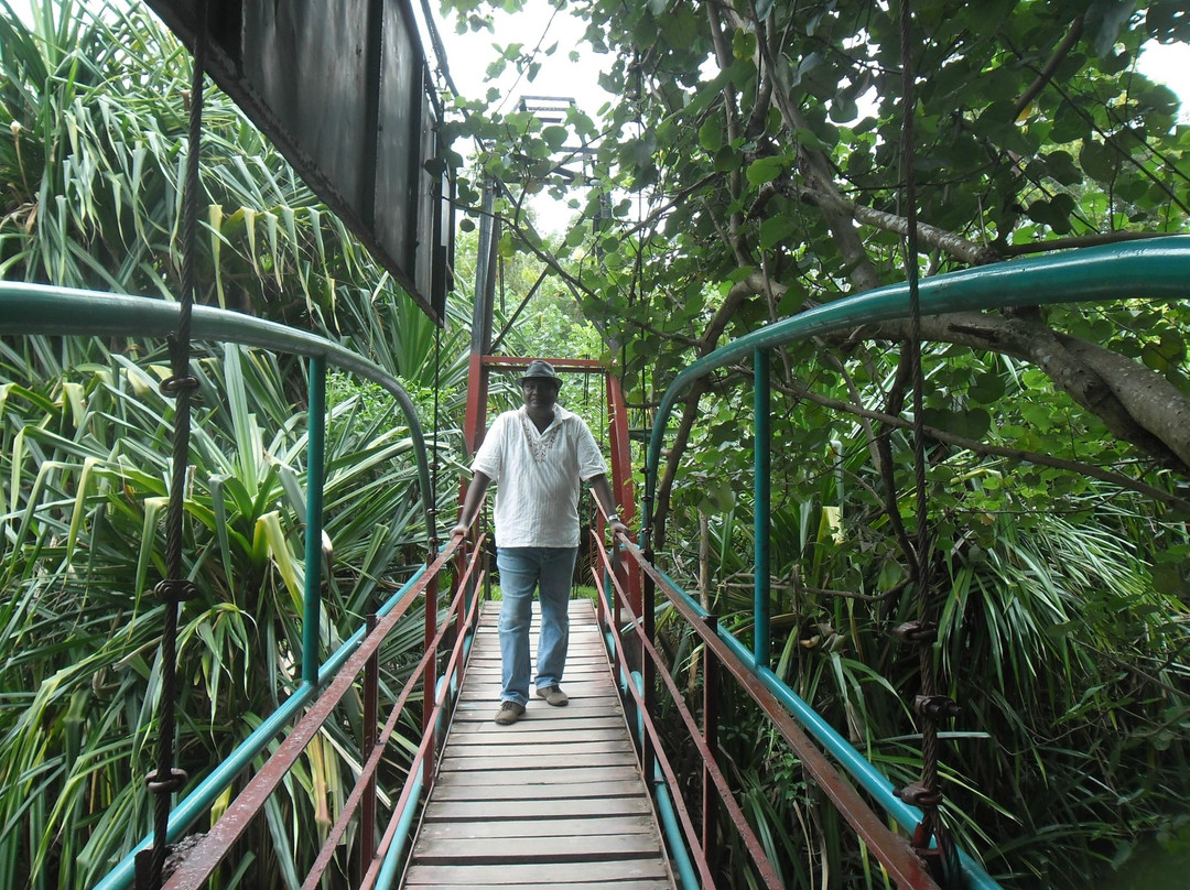 Guruge Nature Park景点图片
