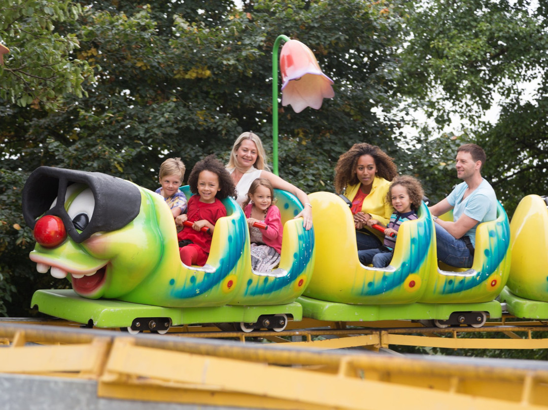 Lightwater Valley Family Adventure Park景点图片