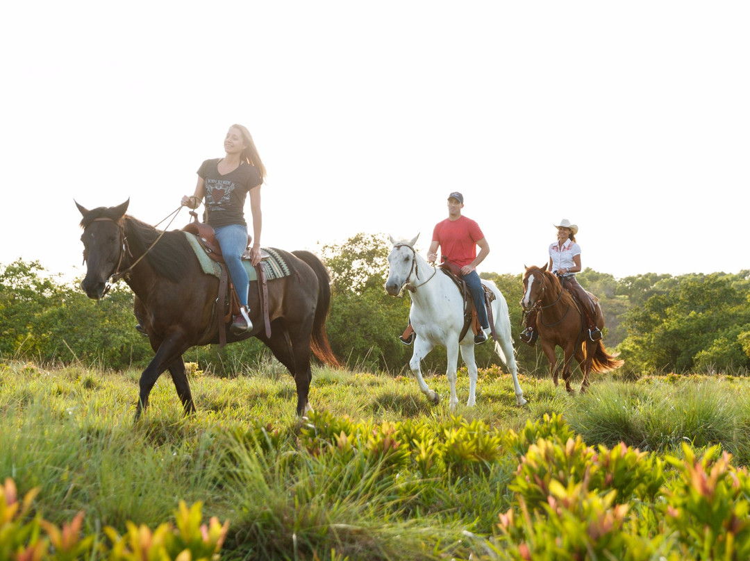 Princeville Ranch-普林斯维尔必去景点