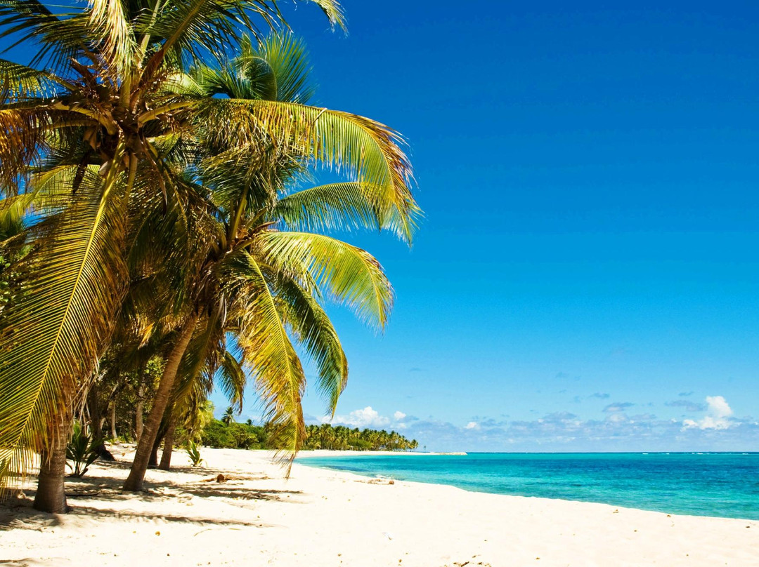 Capesterre旅游攻略图片