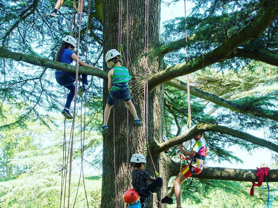 Semley旅游攻略图片