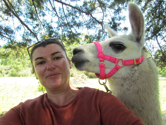 Llama Farma-Elizabeth Town必去景点