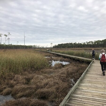 Big Branch Marsh National Wildlife Refuge景点图片