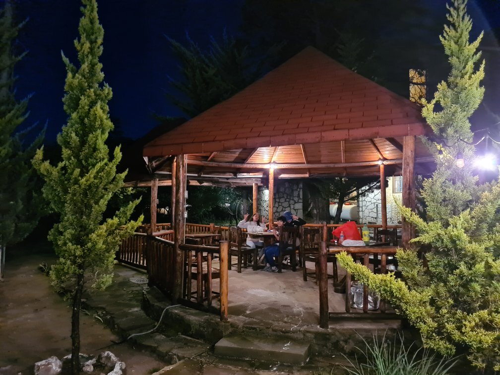 Hotel Divisadero Barrancas-官方