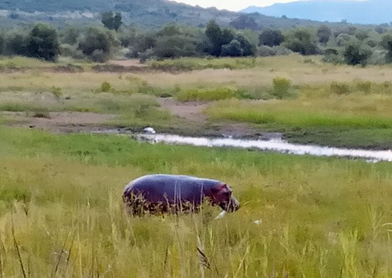 Soul Adventures-约翰内斯堡必去景点