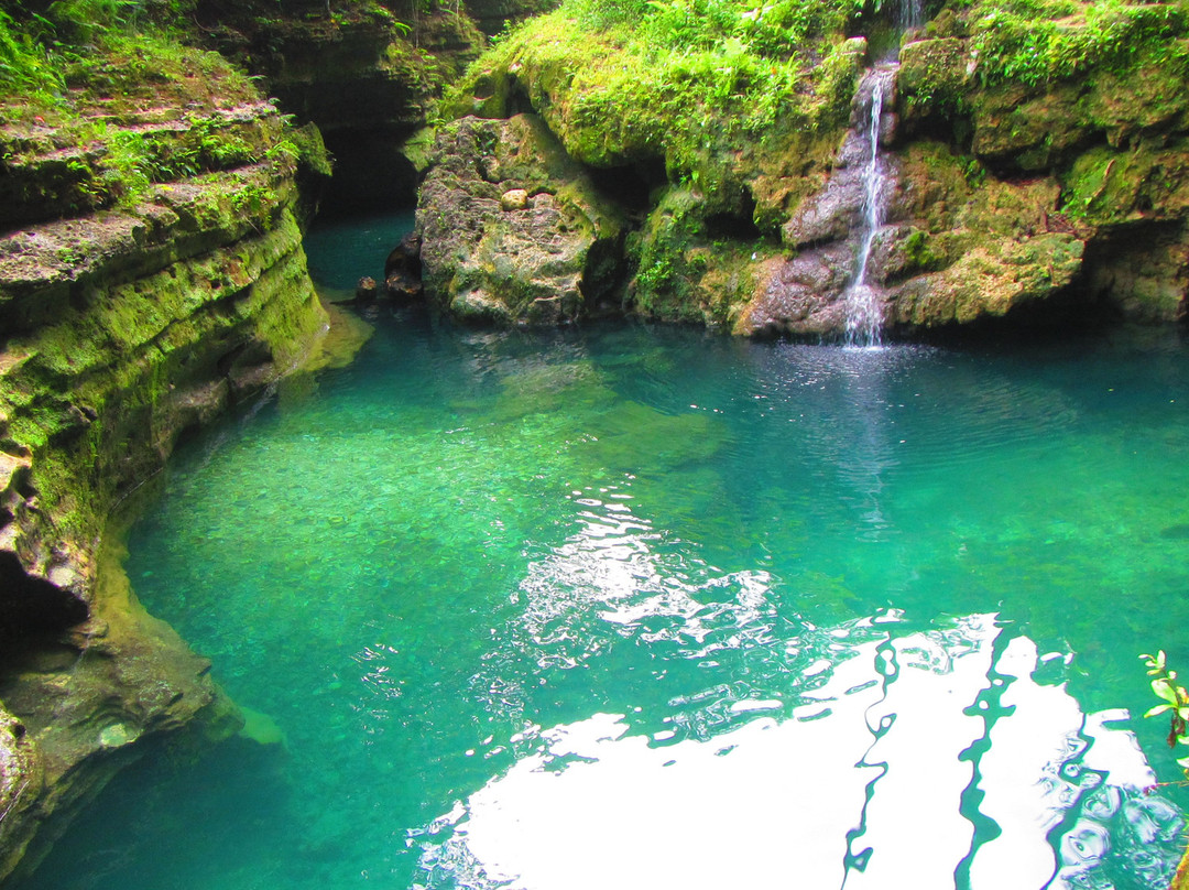 Alegria旅游攻略图片