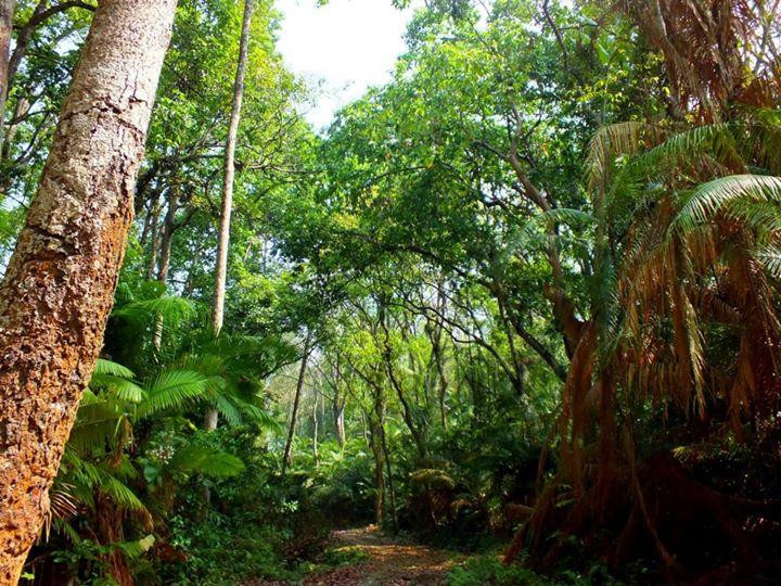 Rema-Kalenga Wildlife Sanctuary-锡尔赫特必去景点