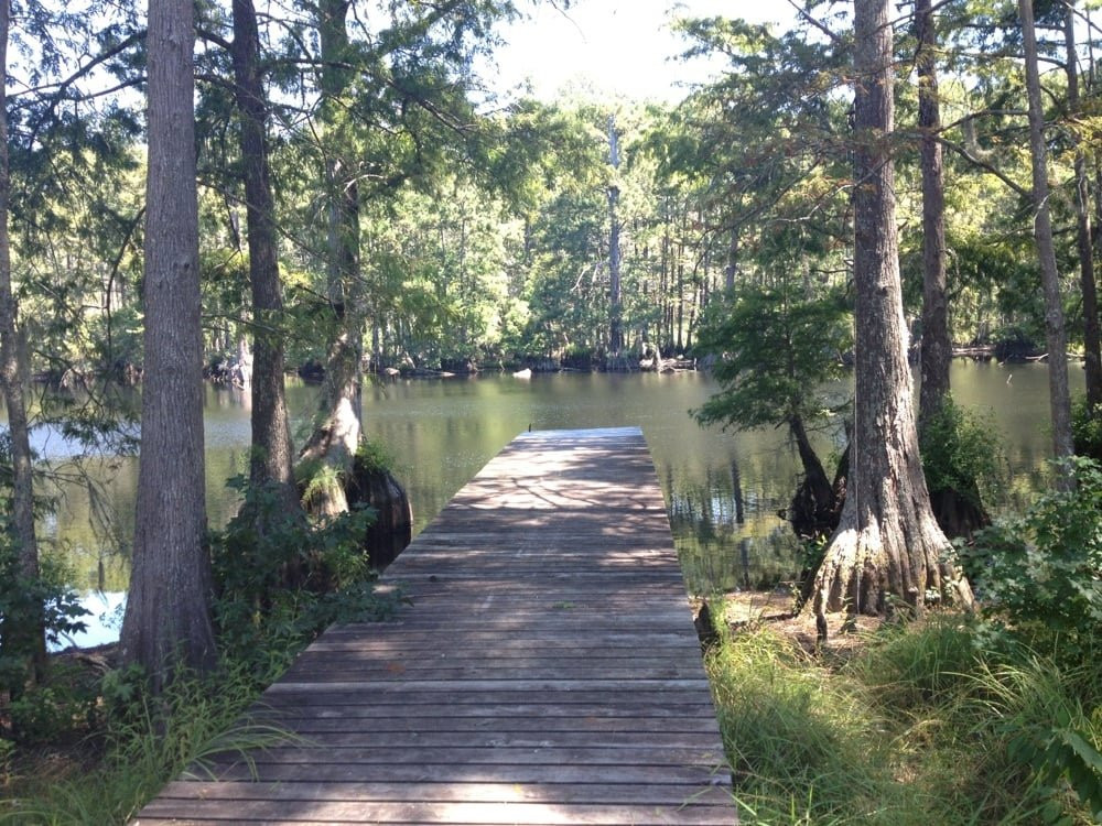 Lake Houston Wilderness Park景点图片