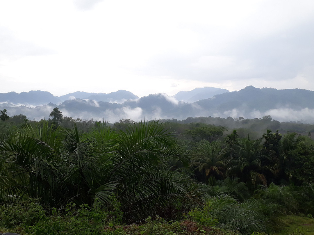 Bohorok旅游攻略图片