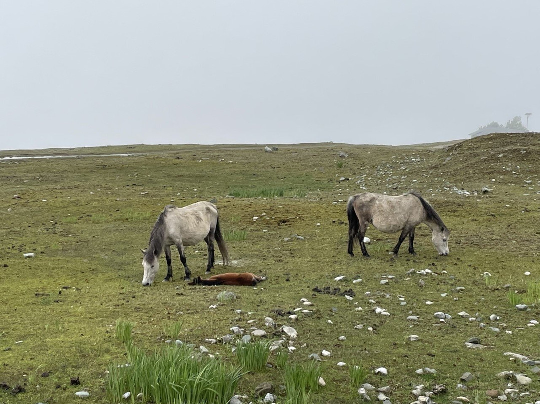 Wild West China-成都必去景点