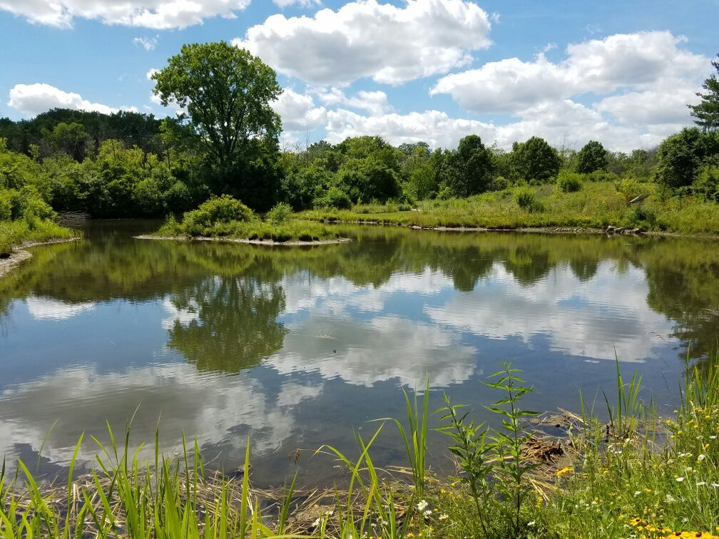 Glen Ellyn旅游攻略图片