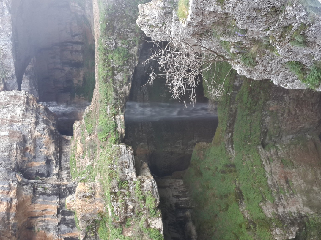 Tannourine旅游攻略图片