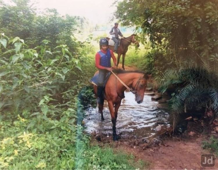 Modern Horse Riding School景点图片