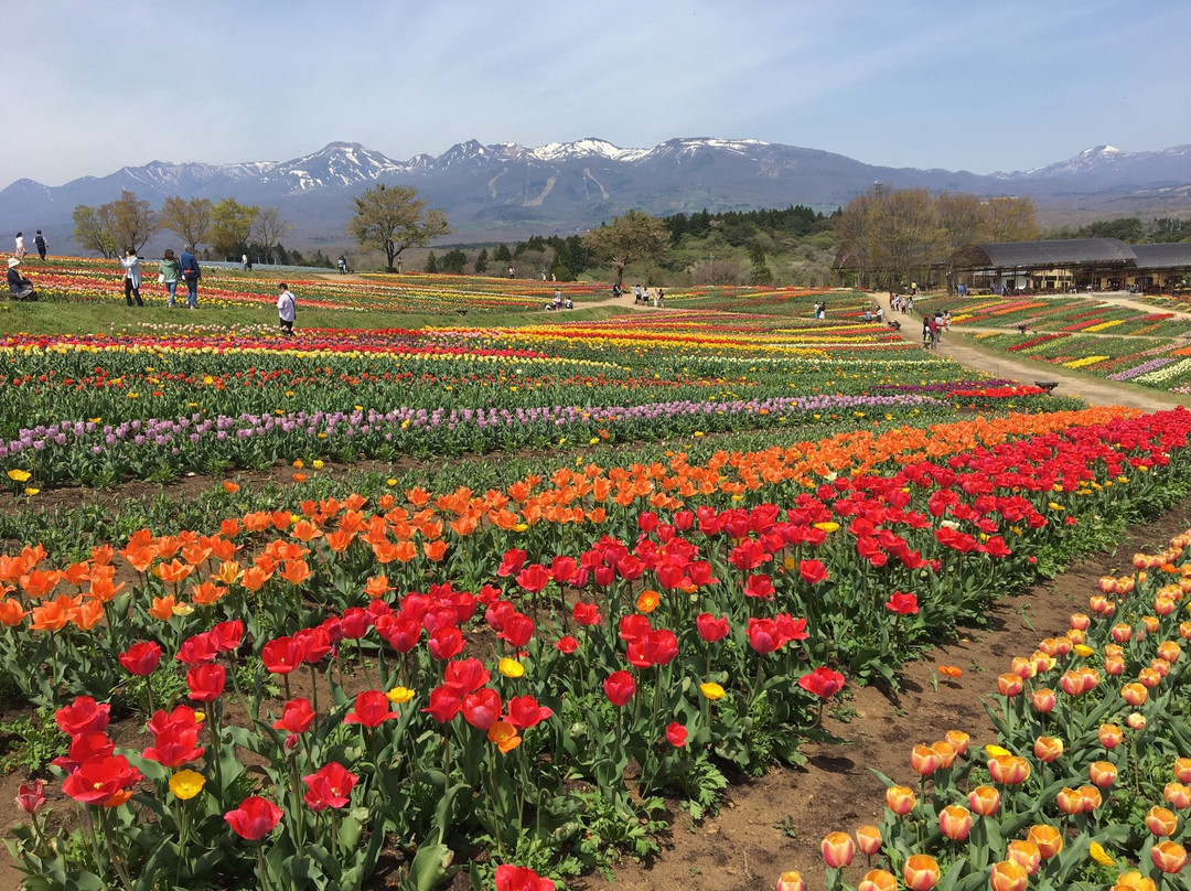 Nasu Flower World景点图片