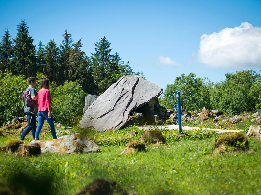 Cavan Burren Park景点图片