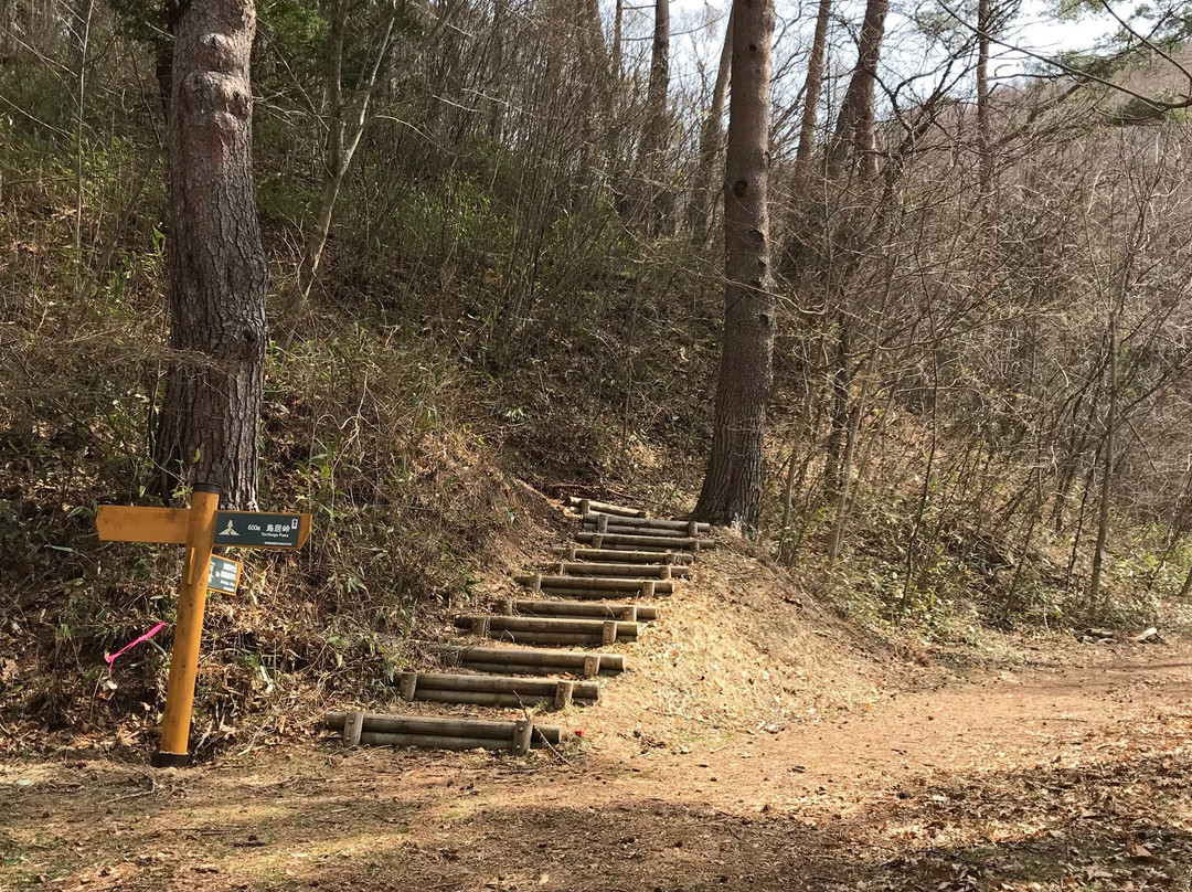 Torii Pass
