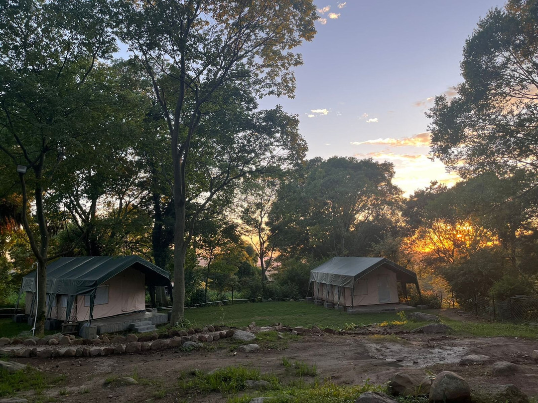 H2H Bir l Nature Camps